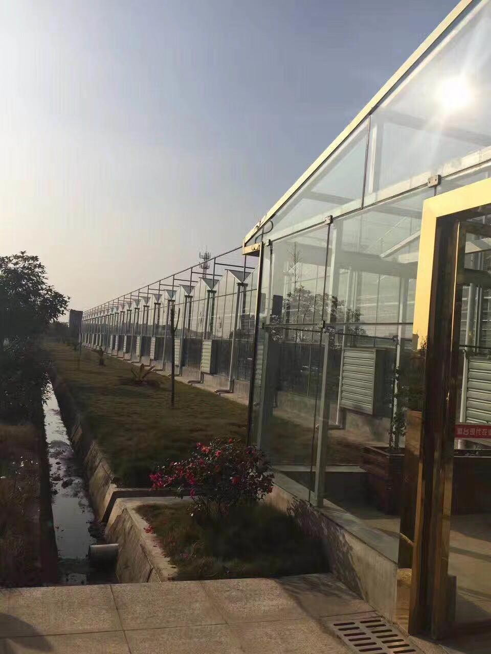 玻璃温室